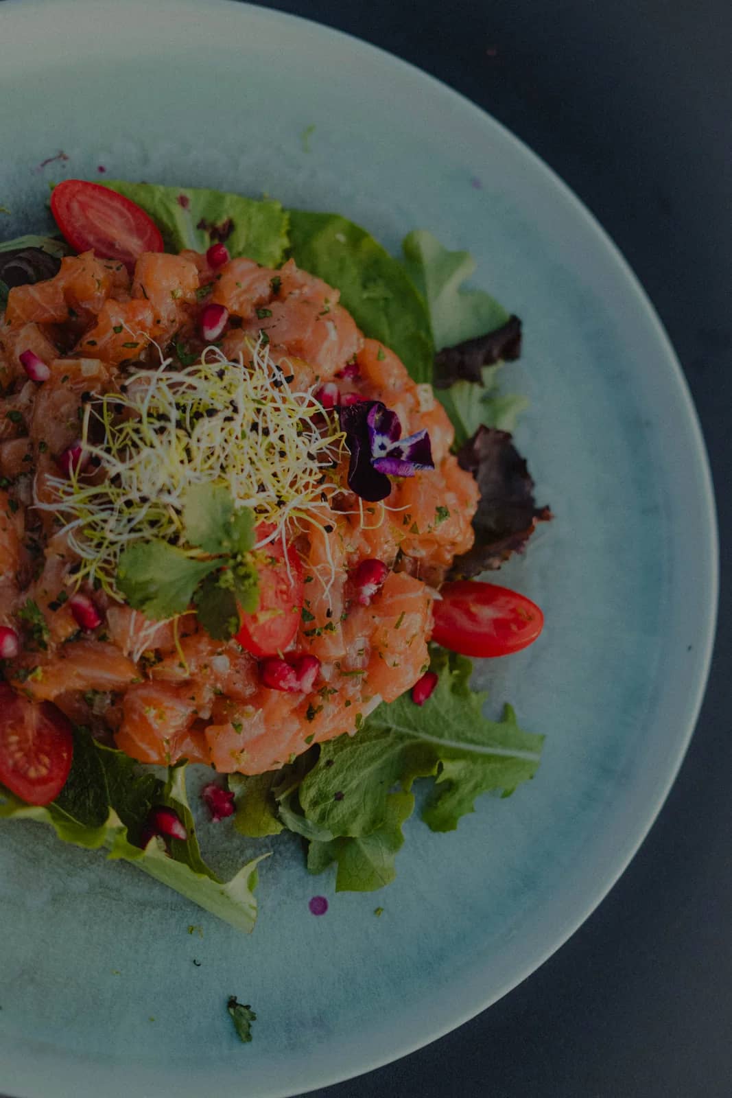 Tartare dressé, vu de dessus